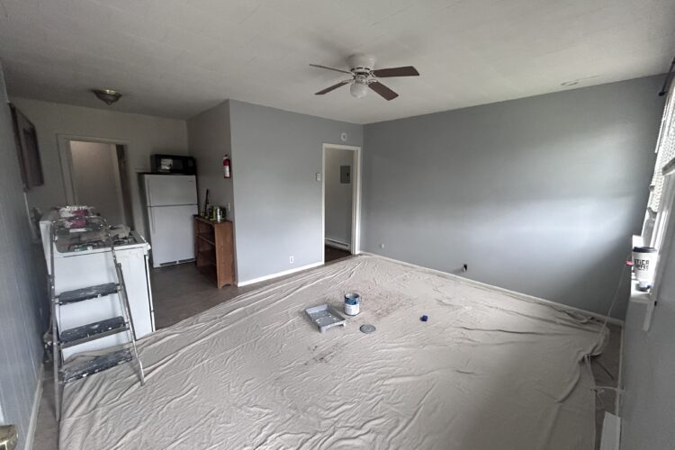 Why Professional Painting Revitalizes Your Living Space